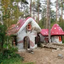 The Land of Shrooms