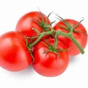 Tomate65_ community Server