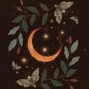 ۰ ̊۰ ̊   Lunar Academy    ̊۰ ̊۰ Discord Server Icon