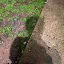 perfectly average minecraft world