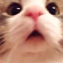 ! dedynaraksubsub