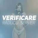 Raducu - Verification