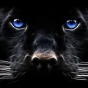 Smells Like Team Spirit! (constructing!) Discord server icon