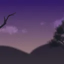 the field