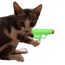 Piu piu piu bùm chíu pằng tà lằng tà pằng 🔫🔫💥💥