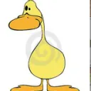 Duckybrine 606's Plugin support/general server