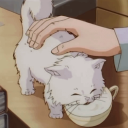 Sugar Babes Server Icon