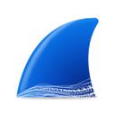 Wireshark icon