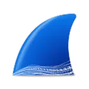 Wireshark