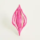 Vagina NFTs