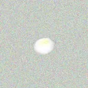 Raw Lemon ARG