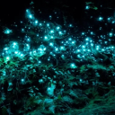 Stay Out Discord server icon