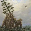 Den of Mr Grizzli