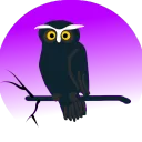 Night Owl Hotel Public