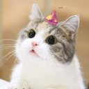 Cat Enthusiasts