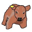 egar