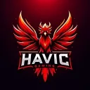 Havic Gaming
