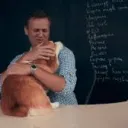 Отряды Навального 7.0