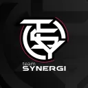 Team Synergi