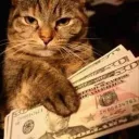 Cat’s Bank