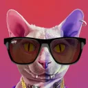 Pussy Glam | NFTs on Cardano