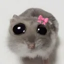 🎀 𝓔𝓬𝓱𝓸 𝓒𝓱𝓪𝓶𝓫𝓮𝓻  🎀