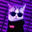 P R I X O N Y ' S