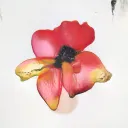 Record Seed