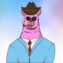Carda Llama