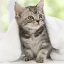 ぼっち