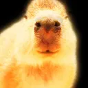 the capybara mugen server