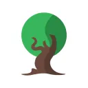 The Lost Woodland 🌳