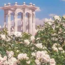 ⸝⸝`🌸`˚₊﹕Ephemeral Garden﹕੭₊˚