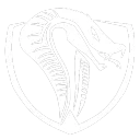 Raid Clan