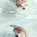 Taylor_Wolf's Streaming Den