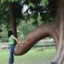 Just the Tip...