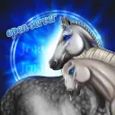 Jorvik Jokers ~ open server