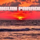 CPenguin Paradise!
