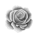 GRP | Calavera