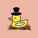 Quack Quack Rubber Duck