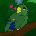 Birb Paradise's icon
