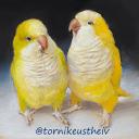 Birb Paradise