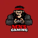 Mugiwara No Gamers