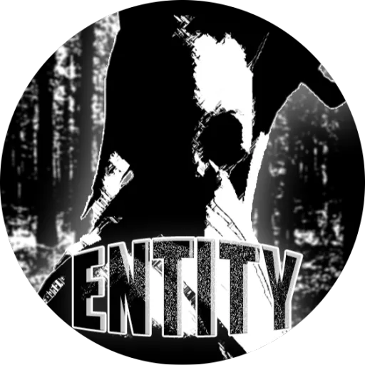 ENTITY — мониторинг Discord сервера, статистика и рейтинг