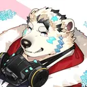 Summoners & Heroes | BR
