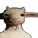 dame da ne's server