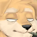 shibe central