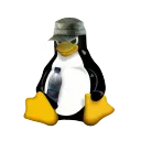 Tarkov Penguins