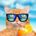 Serveur de Neko Barms