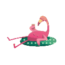 Flamingo Squad